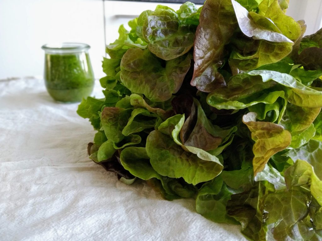 Salat Rezept Blog vegan Linz Pesto